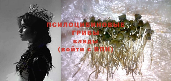спайс Покачи