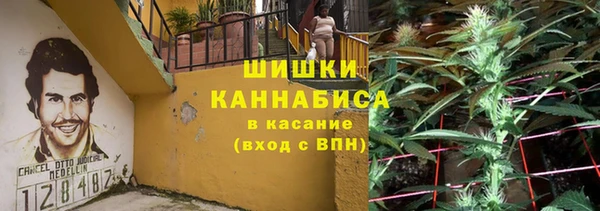 спайс Покачи