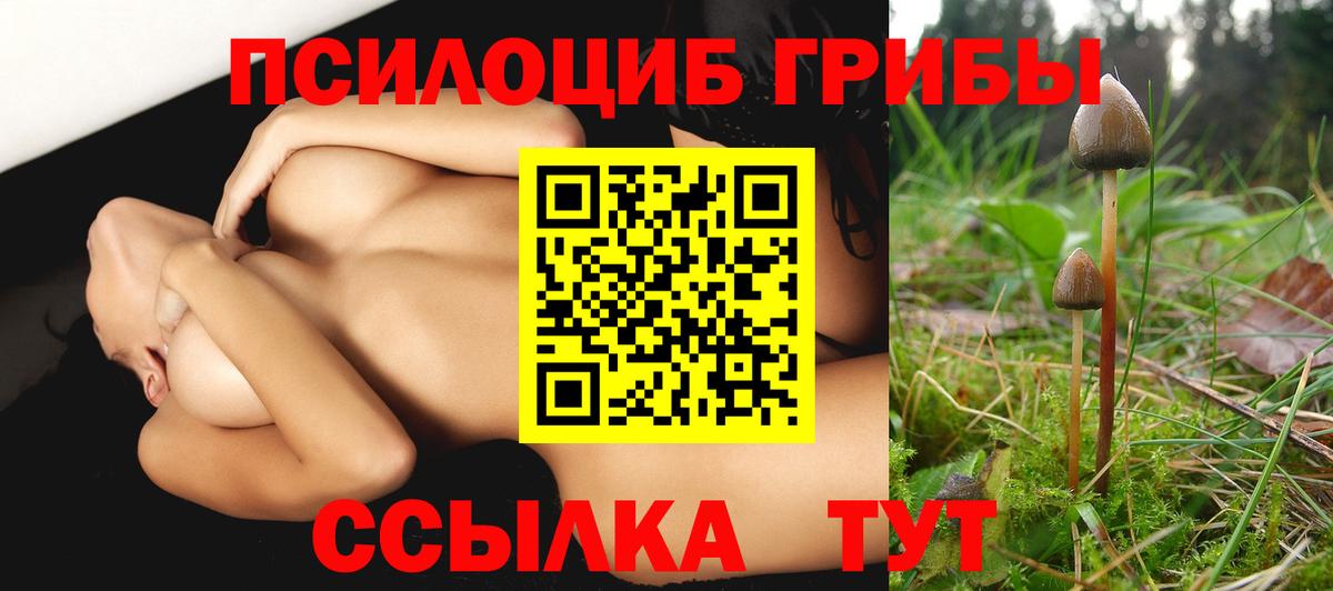 Галлюциногенные грибы Psilocybine cubensis Советск